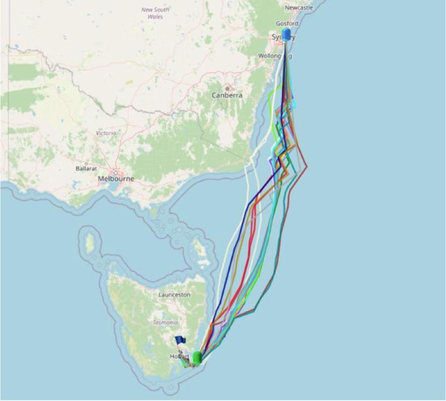 Predicted tracks at the Rolex Sydney Hobart Race 2025 according to the ORC WRS