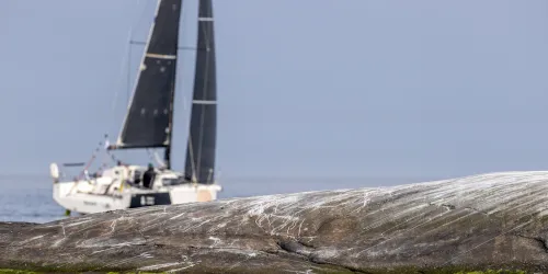 Finnish Double-Handed Championship Showcases Top Teams Ahead of the Garmin ORC DH Europeans 2025