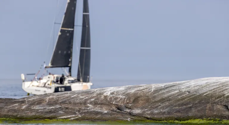 Finnish Double-Handed Championship Showcases Top Teams Ahead of the Garmin ORC DH Europeans 2025