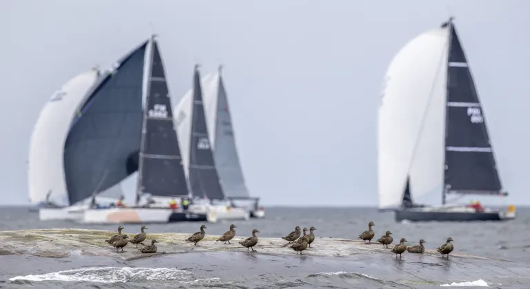 Short Offshore Race Opens the 2025 Garmin ORC DH Europeans in Helsinki with Tight Racing and Shifting Winds