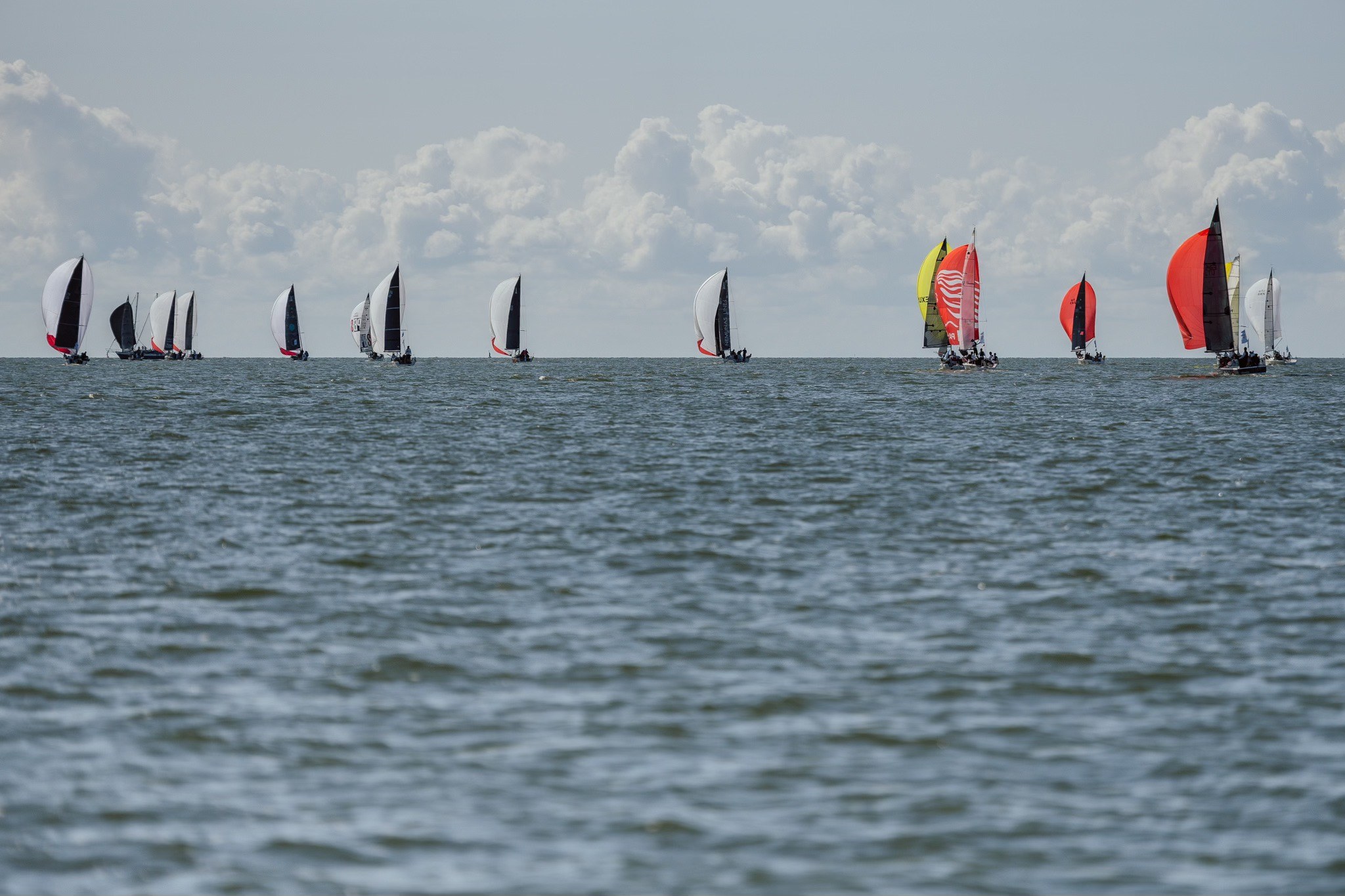 2025 Kuršių marių regata - Curonian Lagoon Regatta © Domas Rimeika