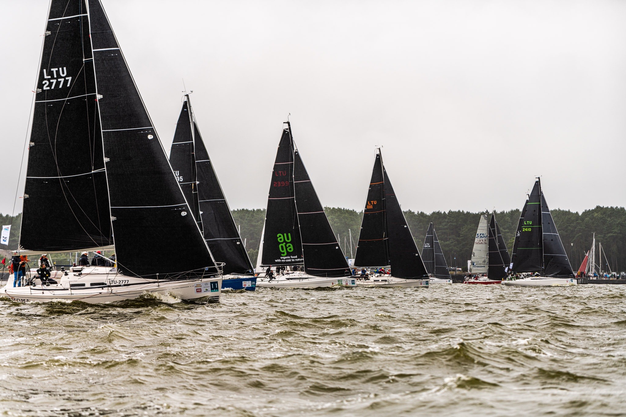 2025 Kuršių marių regata - Curonian Lagoon Regatta | © Domas Rimeika