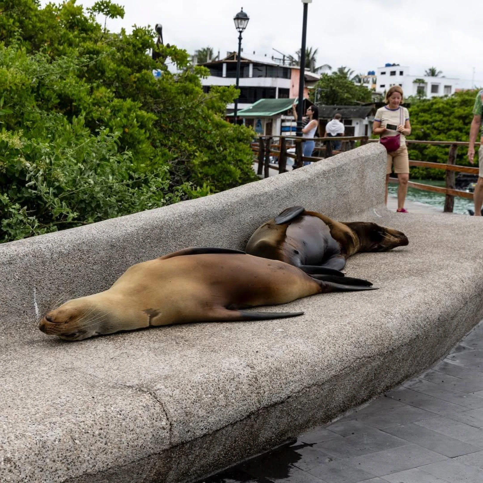 Image 1760615433 19