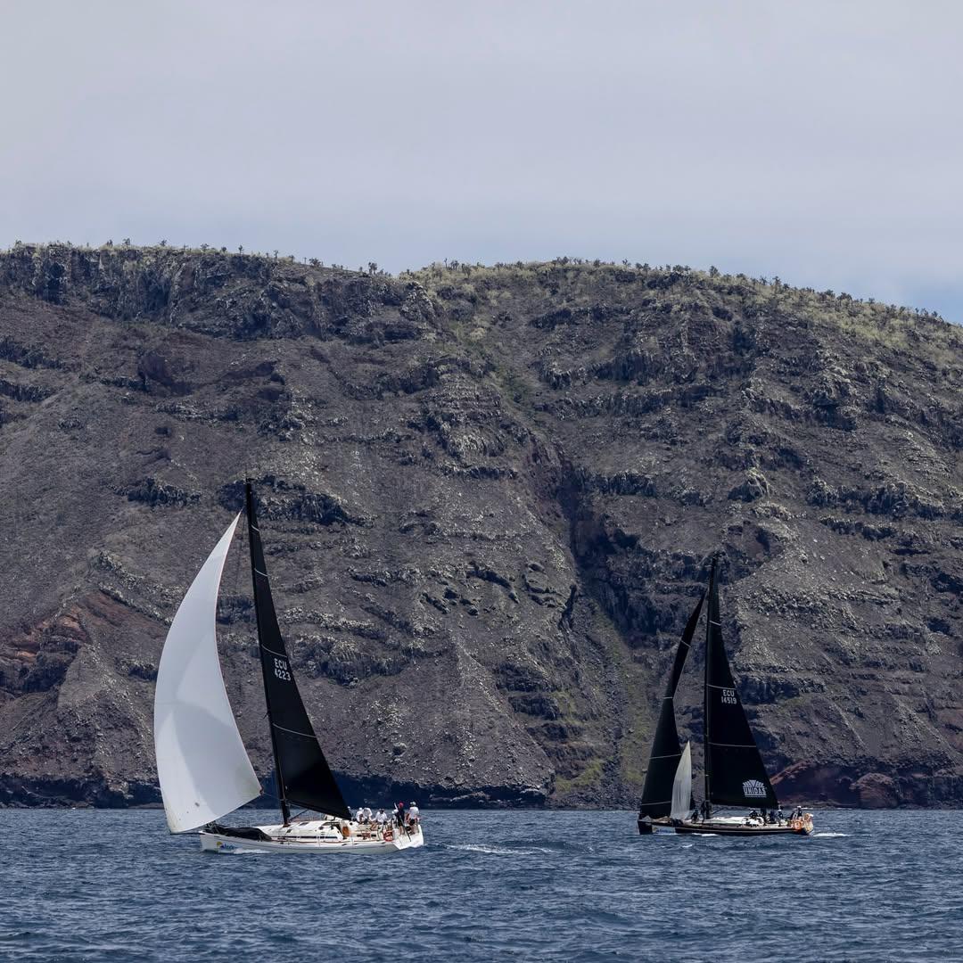 TIBURON (Swan 42 Club, ECU 4223), owned by Julio Hidalgo