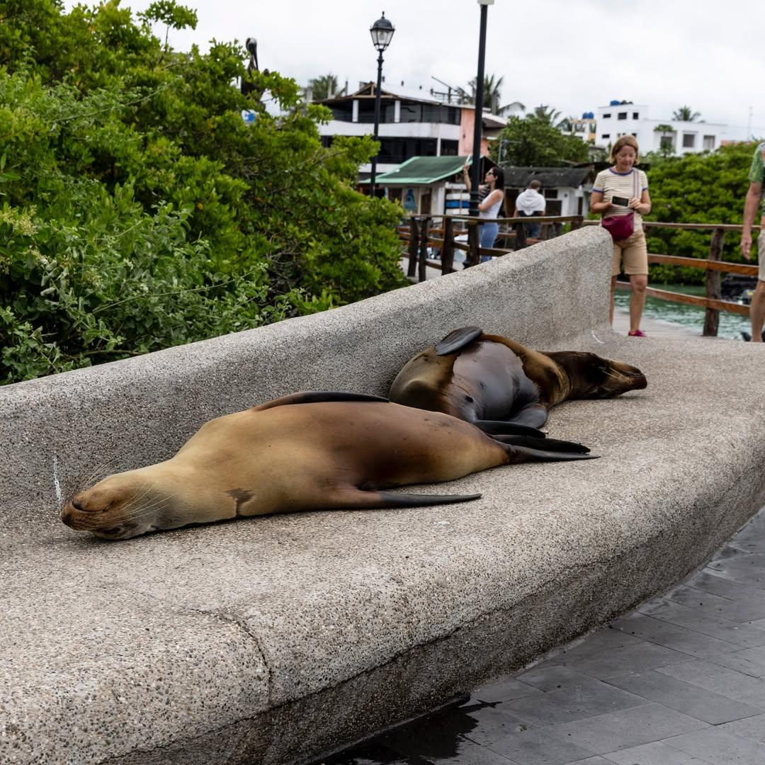 Image 1760615433 19