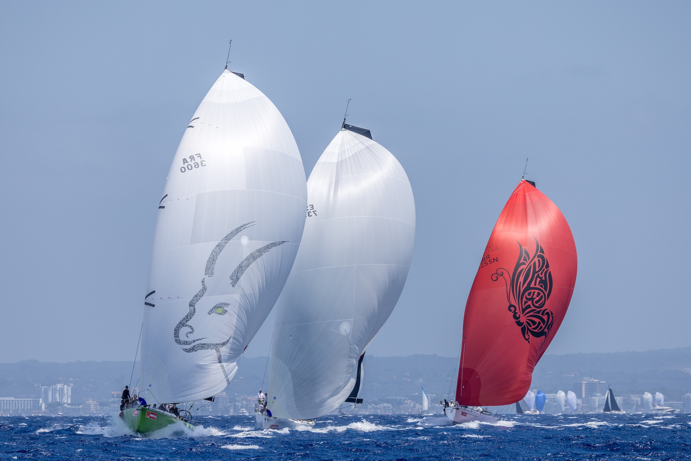 Majorica ORC 1 © Nico Martínez Copa del Rey MAPFRE