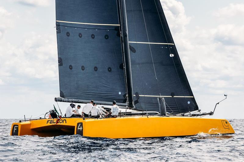 45 ft foiling Falcon - Multihull Cup 2025 © www.sailingenergy.com