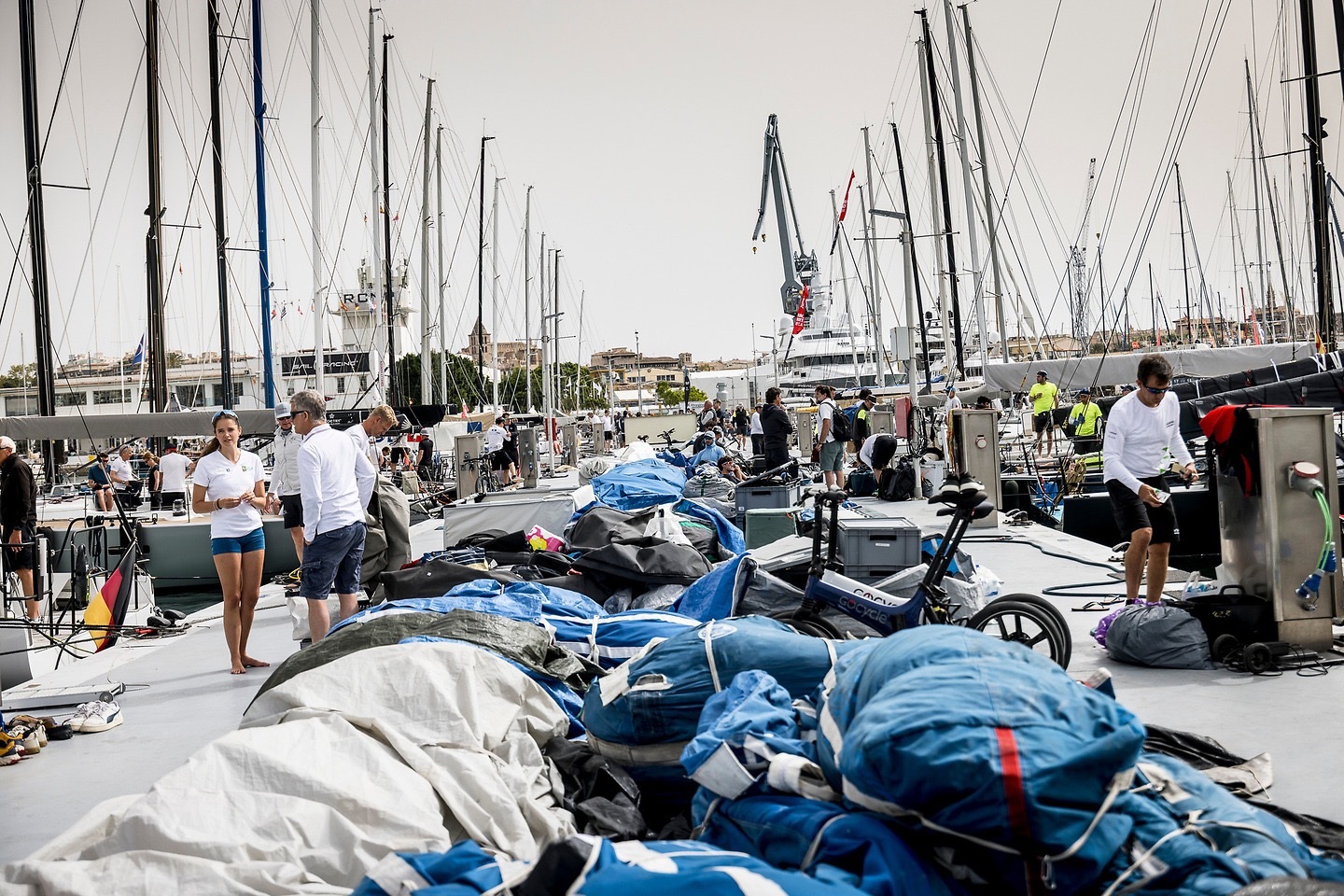 PalmaVela - Palma de Mallorca