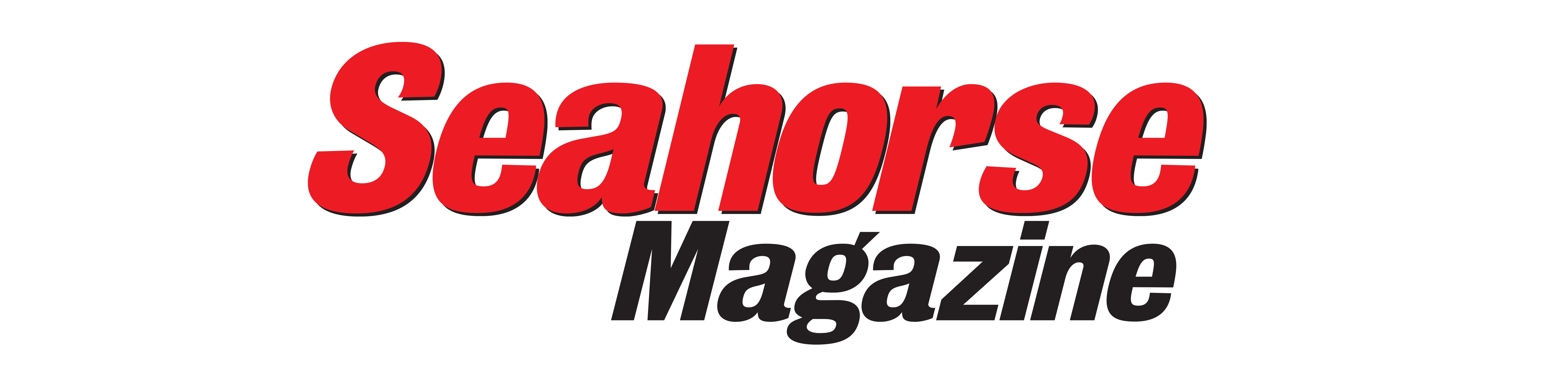 Seahorse Mag Logo
