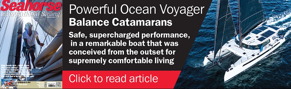 Seahorse banner chosen